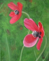 6_poppies11.jpg